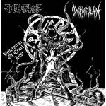 SULPHURHAZE / OMENFILTH - Veneration of the Cruel Lust